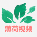 薄荷视频播放器app安卓版下载 v1.1