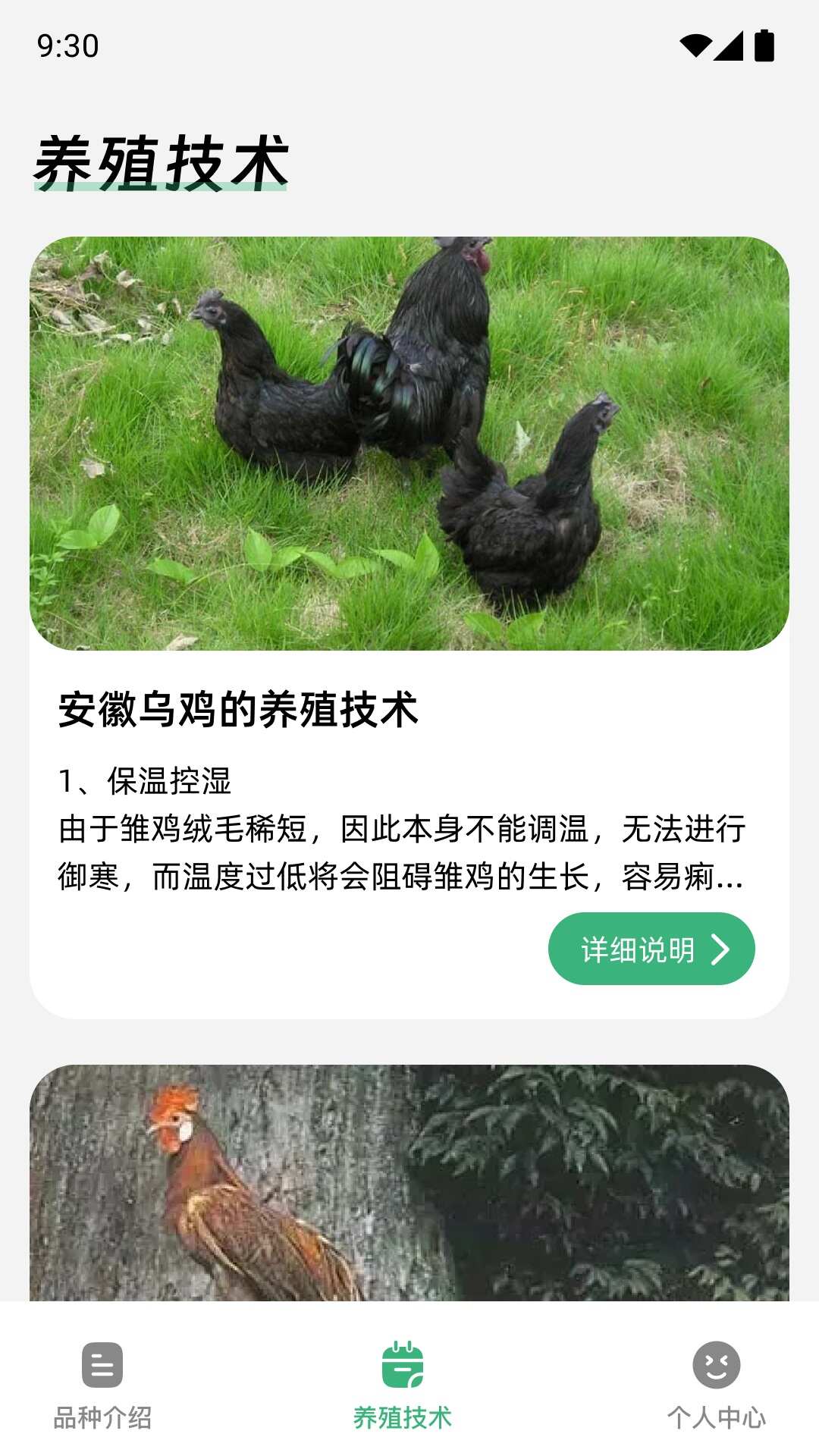 鸡祥如意手机版app下载图片1