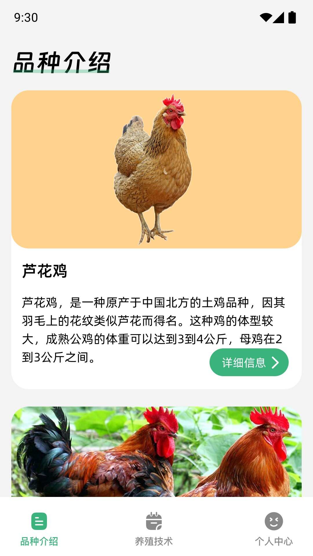 鸡祥如意手机版app下载图1: