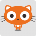 Kitty视频app