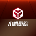 小凯影院急速版app