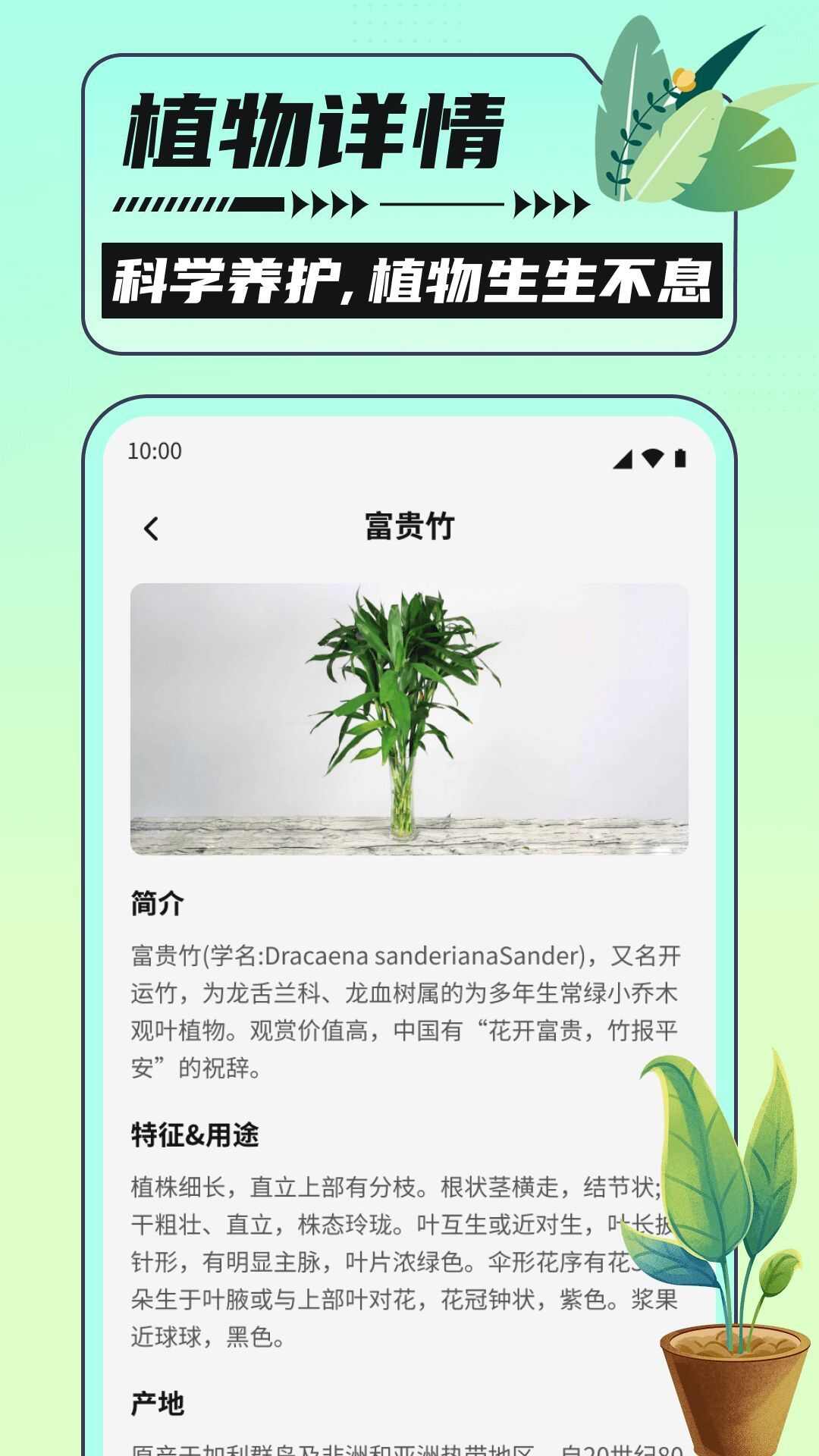 银杏助手大字版app下载手机版图1: