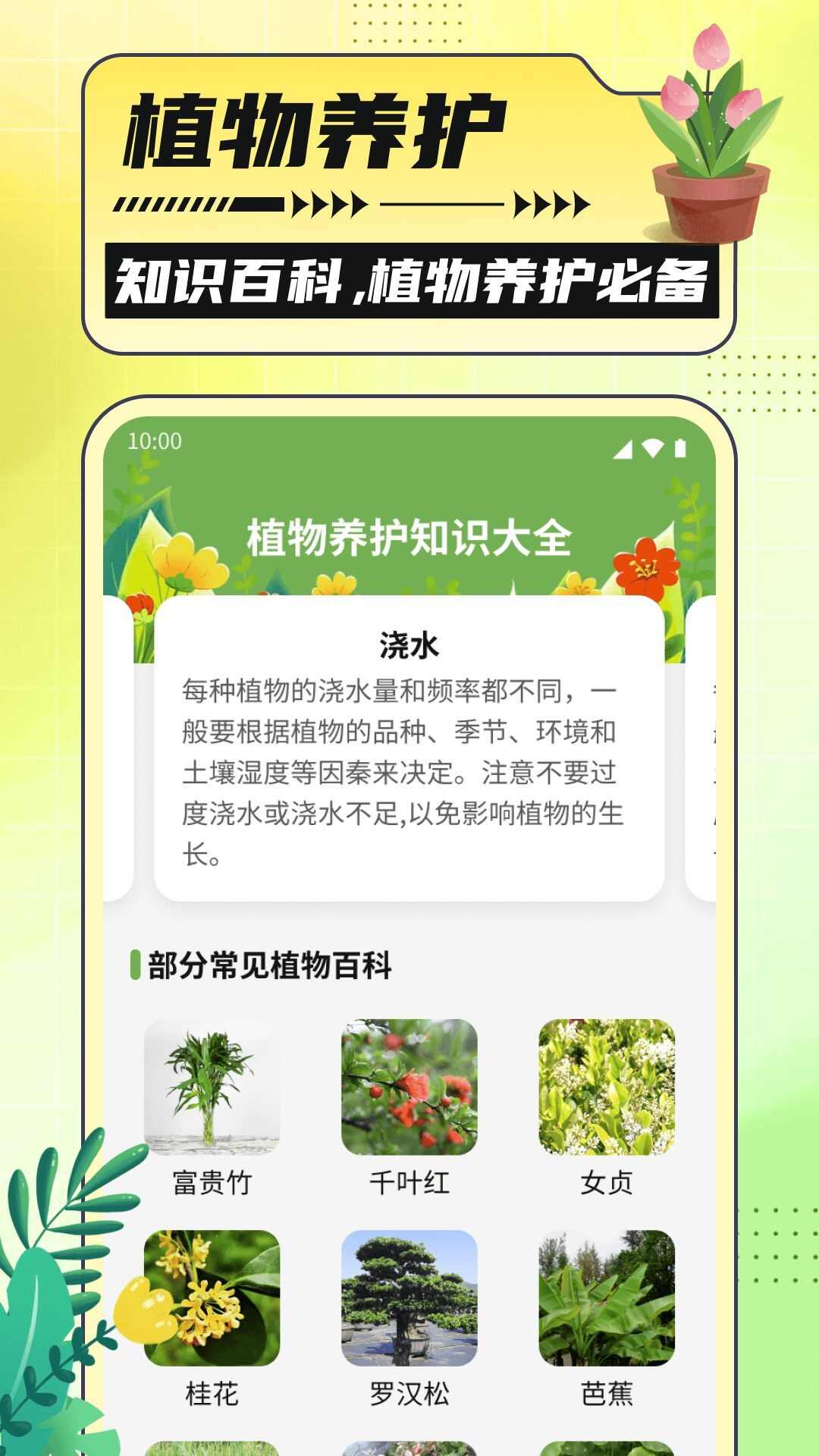 银杏助手大字版app下载手机版图片1