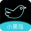 小黑鸟交友软件免费版下载 v1.0.2