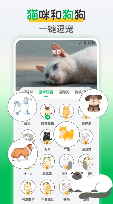 鸟语交流器app下载官方版图1: