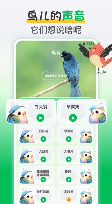 鸟语交流器app下载官方版图2: