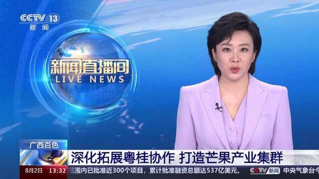 冰凉一夏tv电视版直播app下载图片1